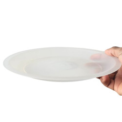 Assiette réutilisable