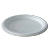 Assiettes fibre de canne