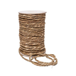 Corde Vizi