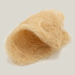 Fibres de sisal