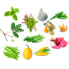 Les familles des légumes