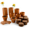 Atelier tournesol nain