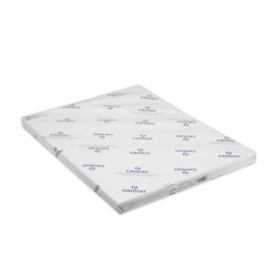 Papier blanc à dessin Canson