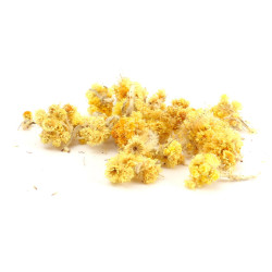 Fleurs séchées