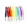 Plumes d'indien