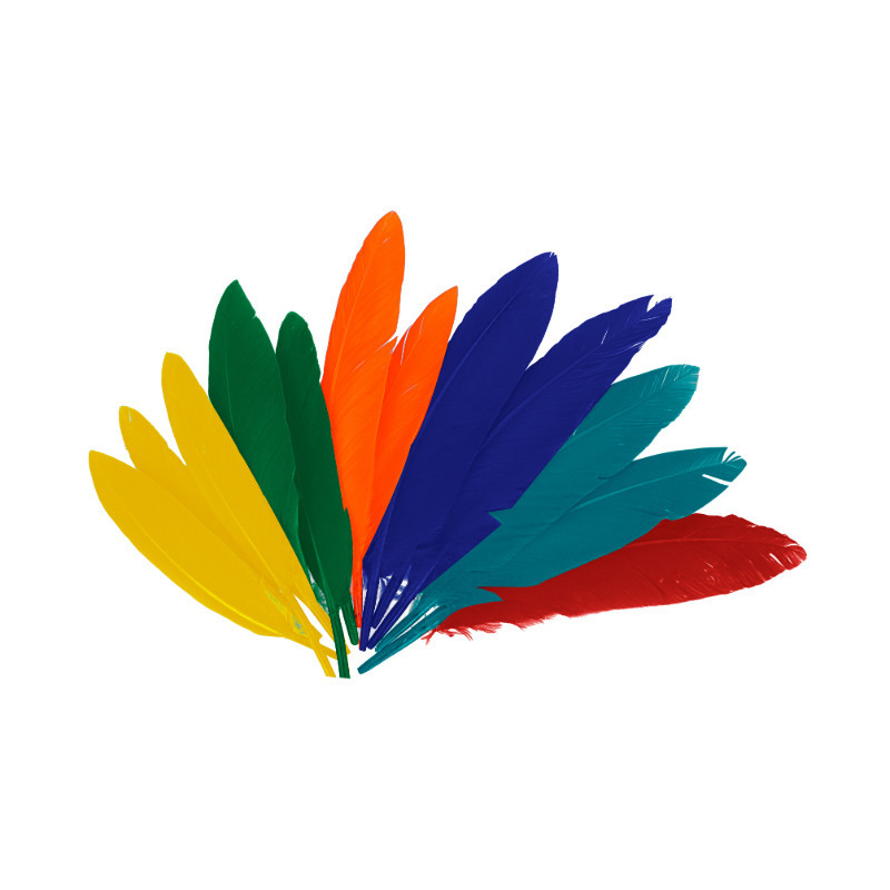 Plumes d'indien