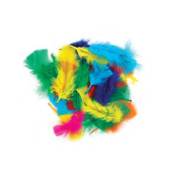 Plumes duvet