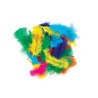 Plumes duvet