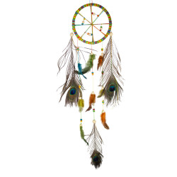 Plumes tachetées