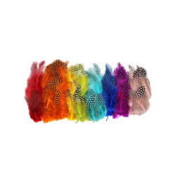 Plumes tachetées