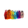 Plumes tachetées