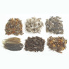 Plumes d'oiseaux