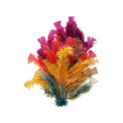 Plumes d'automne