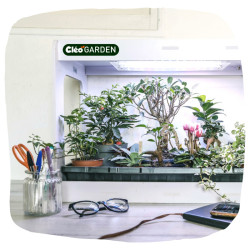 Serre horticole cléogarden