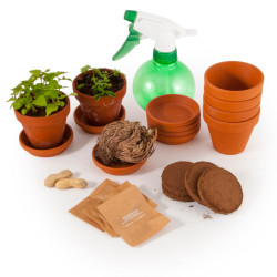 Plantes extraordinaires