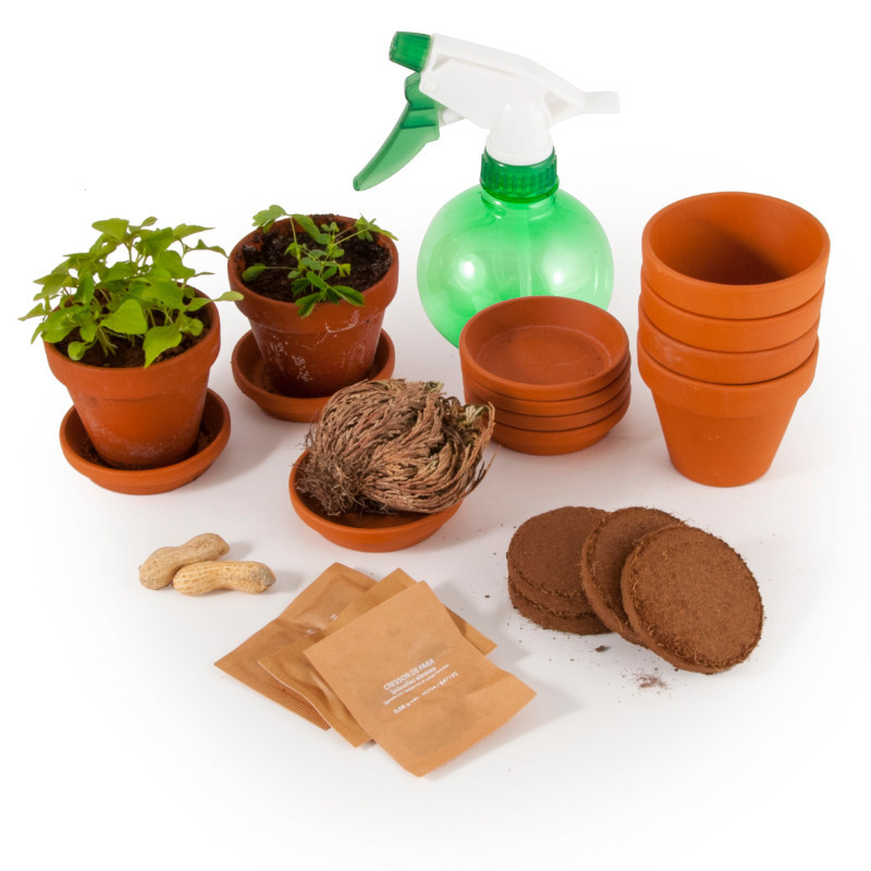 Plantes extraordinaires Plantes extraordinaires