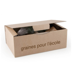 Ma 1ére plantation