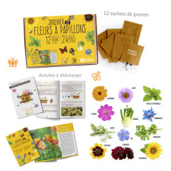 Des abeilles et des papillons