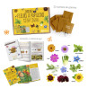 Des abeilles et des papillons