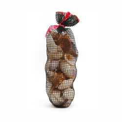 Coquillages