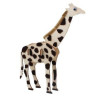 Savane en 3D