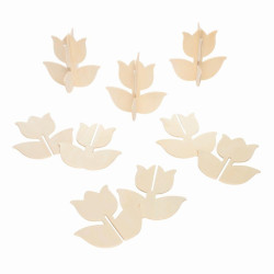 Tulipe 3d