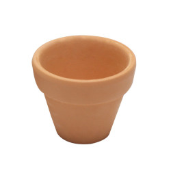 Pot de fleurs