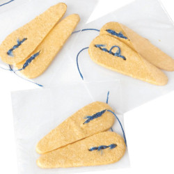 Tampons nez hémostatique