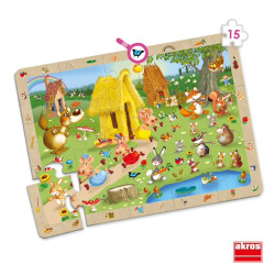 Puzzles d'observation