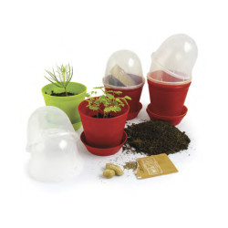 Mini-serres