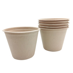 Objets en cellulose