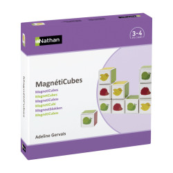 Magneticubes