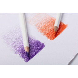 Artist colour darwi