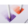 Artist colour darwi