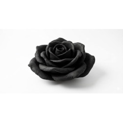 Das noir