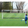 But flexi-goal