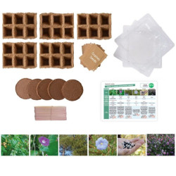 Développement durable