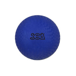 Ballon multi-activités