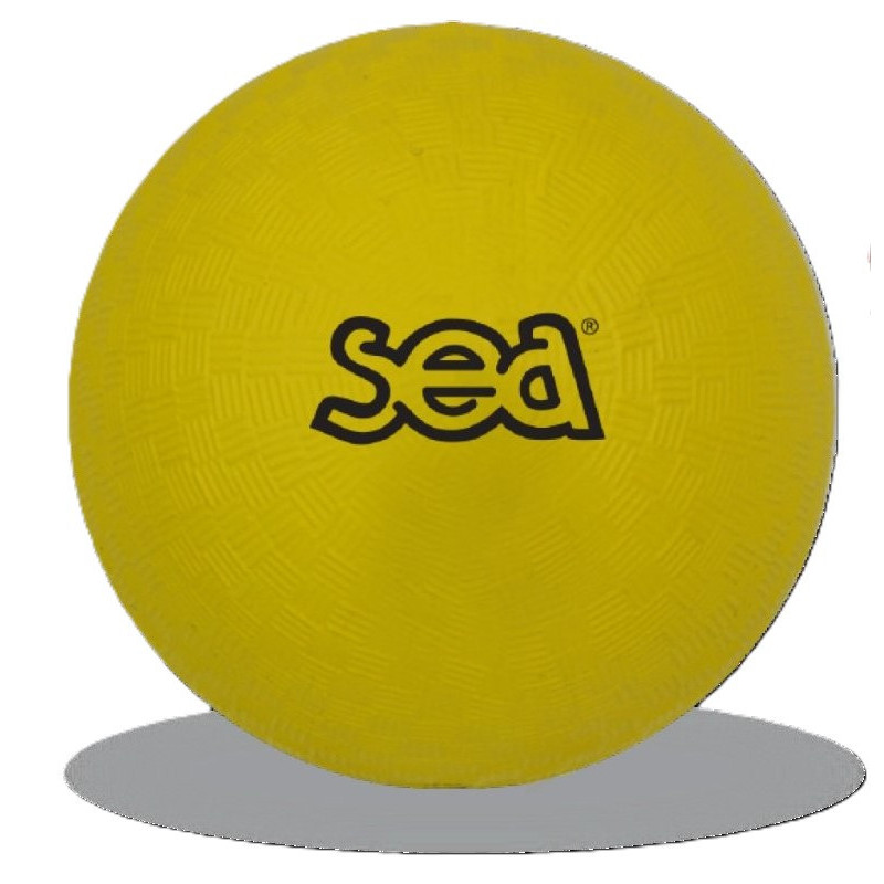 Ballon multi-activités