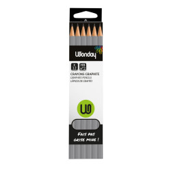 Crayons noirs standards