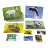 Imagier sonore des animaux