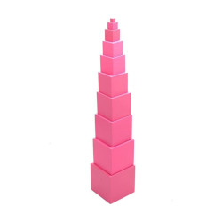 Tour rose