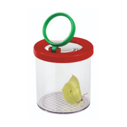 Loupe d'observation