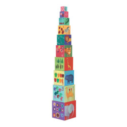 Cubes nature & animaux