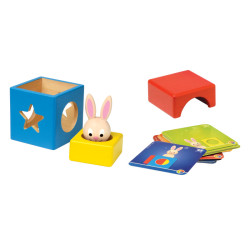 Lapin & magicien