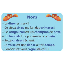 Grammi cat's 1