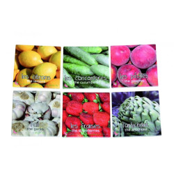 Mémo fruits et légumes