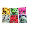 Mémo fruits et légumes