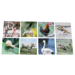 Mémo les animaux