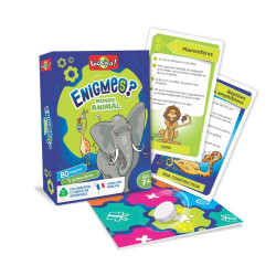 Les énigmes